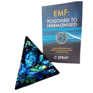 Shungite Energy Amplifying Magnets, turn your appliance into a healthy frequency generator!