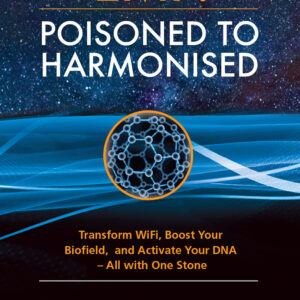 Alternative view of Oraphim Orgone Pyramids & Book, powerful silver activated Shungite. Beautiful healing and Harmonizing for Home