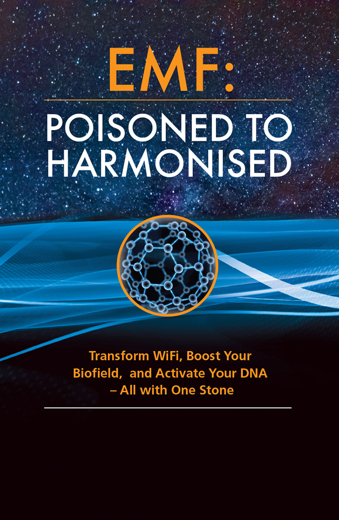 Large Oraphim Orgone Amethyst Pyramids with Lights (5 Amethyst and Silver Activated Shungite) and Book 'EMF Poisoned to Harmonized' By C.Spray - Image 3