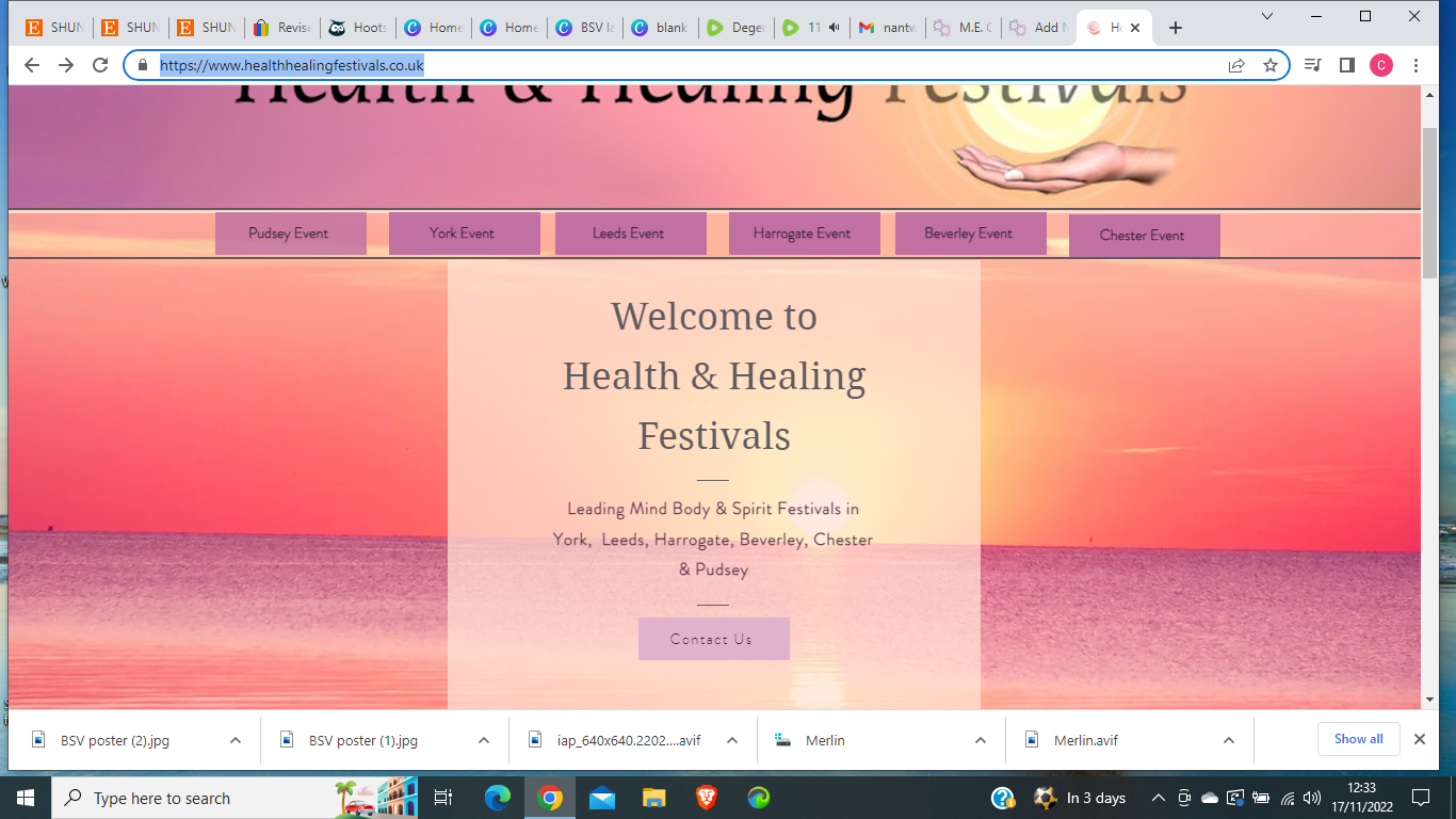 Health & Healing Festivals