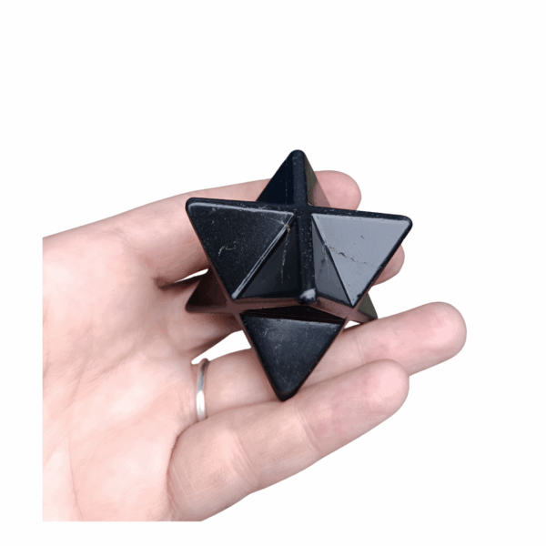 Shungite Merkaba, Star Tetrahedron & Book Bundle: Powerful far-infrared healing and Extraordinary Upgrades!. - Image 2