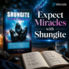 Shungite Books-by C. Spray & N L Hopkins: Book and Bundles - Image 4